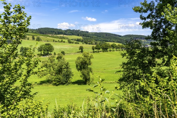 Landscape along the Sauerlandring cycle path, an 84 km long circular cycle path between the towns of Finnentrop, Eslohe, Schmallenberg and Lennestadt, mostly on former railway lines, here near Finnentrop-Serkenrode, Sauerland, North Rhine-Westphalia, Germany