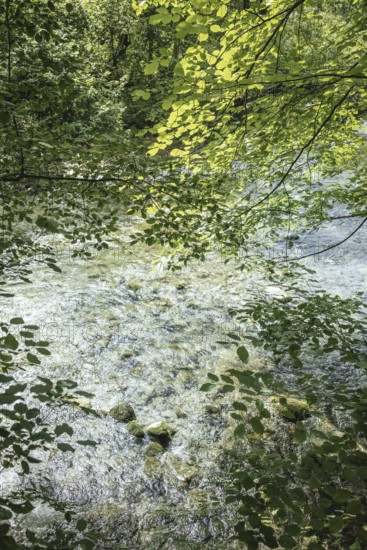 Mangfall near Bruckmühl, district of Miesbach, Upper Bavaria, Bavaria, Germany