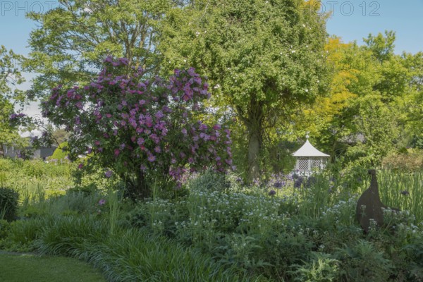District educational garden, Burgsteinfurt, Münsterland, North Rhine-Westphalia, Germany