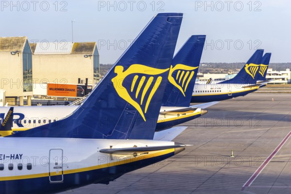 Ryanair Boeing 737 aircraft at Palma de Majorca Airport, Spain