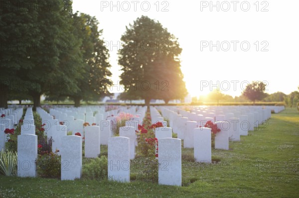 Gravestones, war graves, soldiers' graves, flowers, roses, British and German military cemetery, Cimetière militaire britannique, D-Day, Operation Overlord, Bayeux, Normandy, Calvados, France