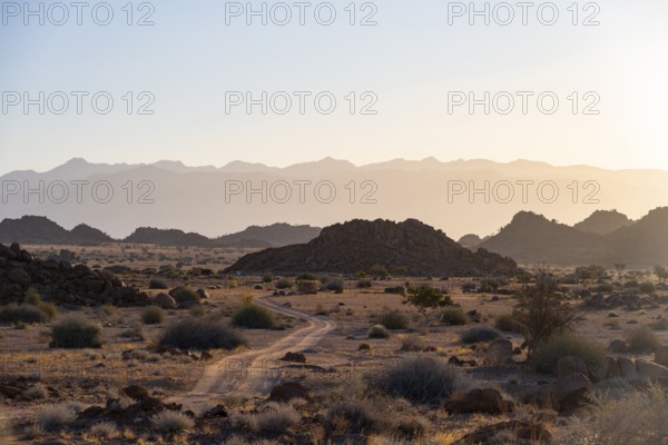 Sandy track, desert landscape in the evening light at sunset, backlit, Brandberg, Erongo, Damaraland, Namibia