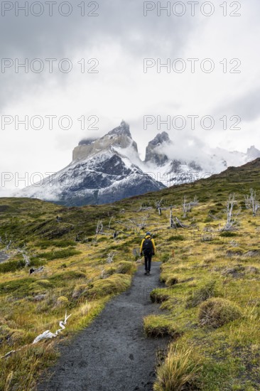 Hikers on a hiking trail to the Mirador de los Cuernos, Cuernos del Paine mountain range in autumn, Torres del Paine National Park, Magallanes region, Chile