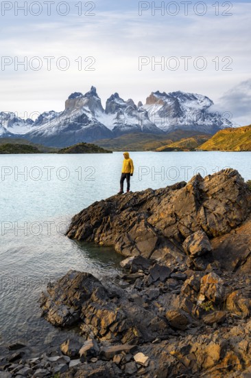 Young man on the shore of the blue lake Lago Pehoe in the evening light, Cuernos del Paine mountain range, Torres del Paine National Park, Chile