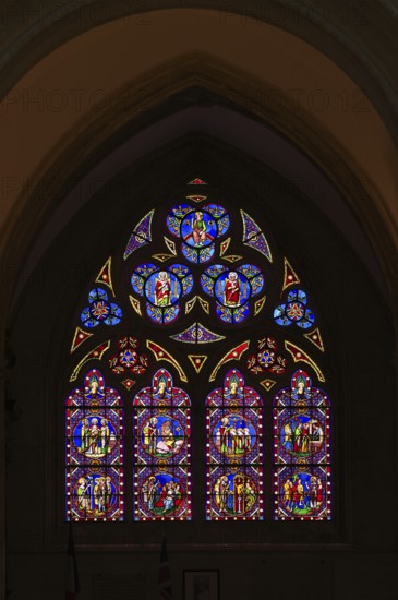 Interior view, stained glass window, coloured church windows, Cathédrale Notre-Dame de Bayeux, Bayeux, Calvados, France