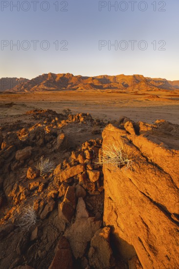 Desert landscape with Brandberg in the morning light, at sunrise, Erongo, Damaraland, Namibia