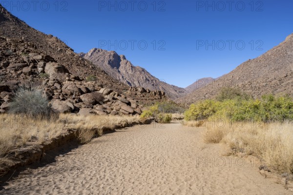 Tsisab Gorge, White Lady Trail, desert landscape, Brandberg, Erongo, Damaraland, Namibia