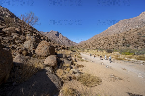 Tourists on a hiking trail in the Tsisab Gorge, White Lady Trail, desert landscape, Brandberg, Erongo, Damaraland, Namibia