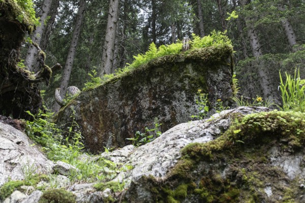 Seidlwinkl Valley, Rauris, Pinzgau, Salzburg, Austria
