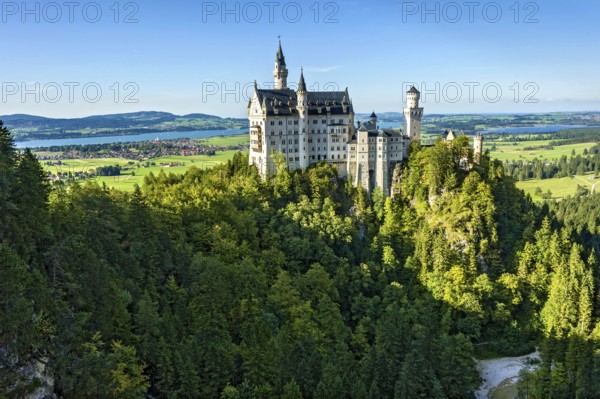 Neuschwanstein Castle by King Ludwig II above the Pöllat Gorge, fairytale castle in the Neo-Romanesque style, UNESCO World Heritage Site, Forggensee, Bannwaldsee, Schwangau, Königswinkel, Allgäu, Swabia, Bavaria, Germany