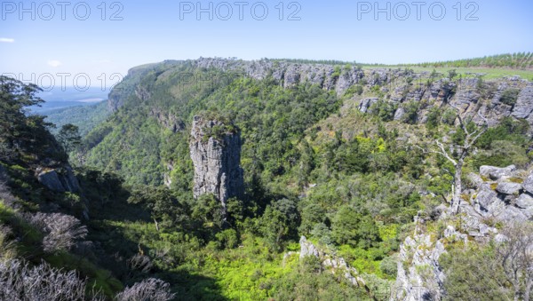Rock needle in a densely forested canyon, Pinnacle Rock, view over canyon landscape, near Graskop, Mpumalanga, South Africa