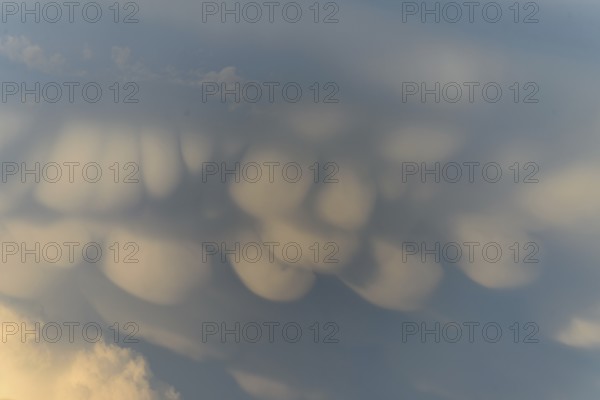 Unusual cloud structures create captivating shapes against a backdrop of warm colours as the sun sets, bringing a serene yet dramatic atmosphere to the evening sky. Bas rhin, Alsace, grand est, France