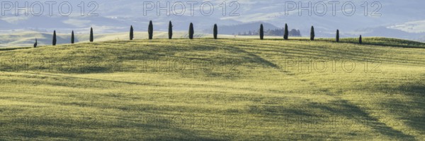 Landscape at sunrise around Pienza, Val d'Orcia, Orcia Valley, UNESCO World Heritage Site, Province of Siena, Tuscany, Italy