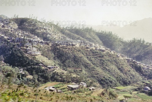 Squatter settlement huts on hillside, Pak Uk Tsai Road, New Territories, Kong Hong, Asia 1965