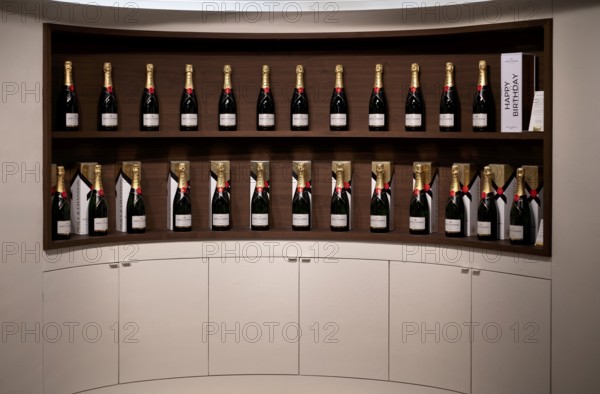 Various bottle sizes of Champagne Impérial Brut, logo, lettering, showroom, reception hall, entrance area, headquarters of the champagne brand Moët & Chandon, part of the luxury goods group LVMH Louis Vuitton Moët Hennessy, Avenue de Champagne, Épernay, Marne, France