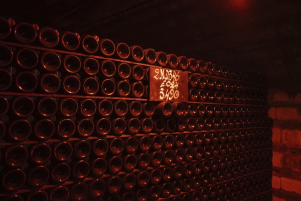 Champagne bottles, bottles stored in the cellar, champagne cellar of Moët & Chandon (Les Caves Moët & Chandon) Headquarters of the champagne brand Moët & Chandon, part of the luxury goods group LVMH Louis Vuitton Moët Hennessy, Avenue de Champagne, Épernay, Marne, France