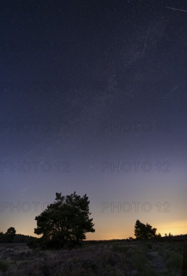 Mehlinger Heide at night, night sky with stars, Milky Way, Perseids and shooting stars. Mehlinger Heide nature reserve, Mehlingen, Rhineland-Palatinate, Germany