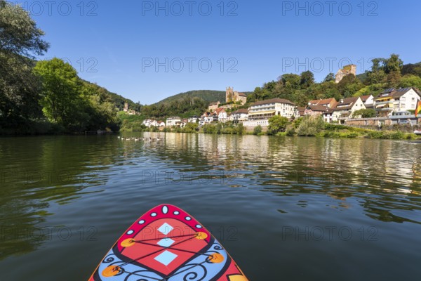 SUP board on the Neckar near Neckarsteinach. The ruins of Hinterburg Castle on the top left, Mittelburg Castle in the centre and Vorderburg Castle on the right. A group of Canada geese on the river. Neckarsteinach, Odenwald, Rhine-Neckar district, Baden-Württemberg, Germany