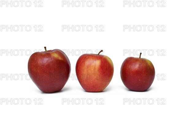 Three red apples in different sizes. Concept of comparison, growth, and natural variation in fruit