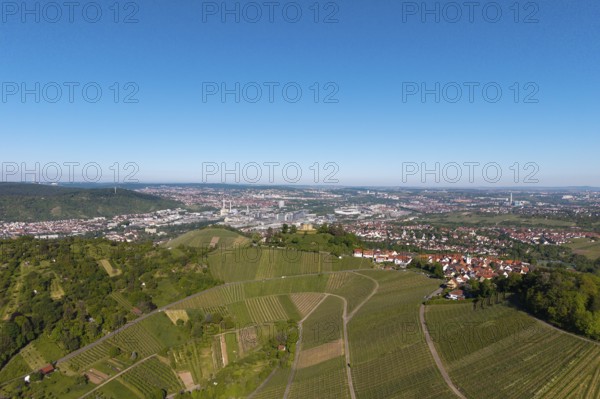 Extensive vineyards in front of an urban backdrop under a clear sky, view of Rotenberg near Stuttgart with a burial chapel, in the background the Mercedes-Benz plant in Stuttgart-Untertürkheim and the MHP Arena, Baden-Württemberg, Germany