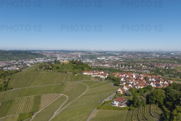 Vineyards surrounded by houses with view of Stuttgart, clear view and blue sky, view of Rotenberg near Stuttgart with burial chapel, in the background the Mercedes-Benz plant in Stuttgart-Untertürkheim and the MHP Arena, Baden-Württemberg, Germany