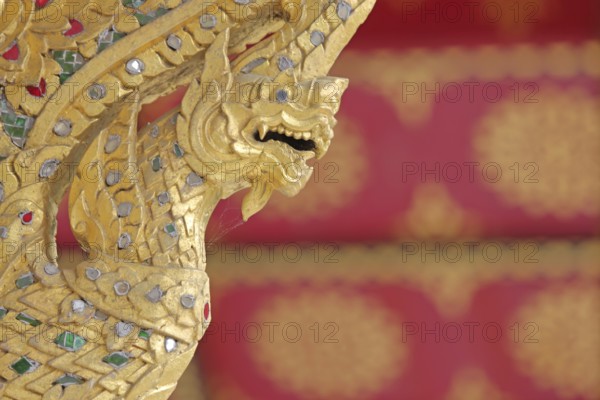 Golden dragon with ornaments and jewellery at the Siamese Sala-Thai I temple, Asian, detail, dragon head, precious stones, magnificent, spa gardens, Bad Homburg, Taunus, Hesse, Germany