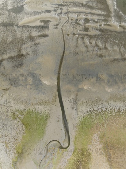 Marshes and streams at low tide in the Walvis Bay Lagoon. Aerial view. Drone shot. Namibia