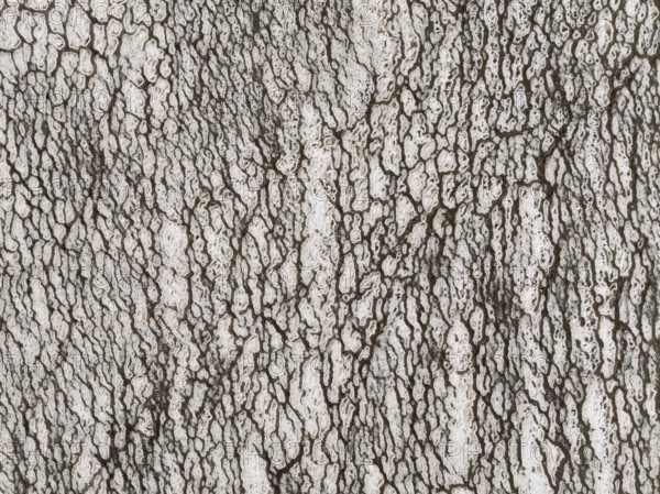 Saline deposits at the salt works of Walvis Bay. Aerial view. Drone shot. Namibia