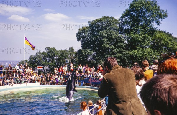 Crowd of people in audience watching performance by Cuddles the Killer Whale, Dudley Zoo, West Midlands, England, UK 1970s