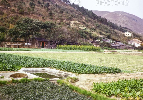 Farmland countryside, Tai Tei Tong village, Silver Mine Bay Mui Wo, Lantua Island, New Territories, Hong Kong, Asia 1964
