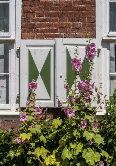 Detail photo, Houses in the Holländerviertel, Old Town of Potsdam, Brandenburg, Germany