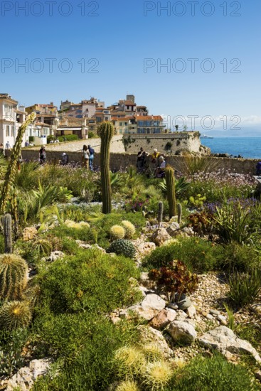 Picturesque town by the sea, Antibes, Provence Alpes Côte d'Azur, South of France, France