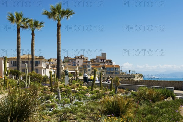 Picturesque town by the sea, Antibes, Provence Alpes Côte d'Azur, South of France, France