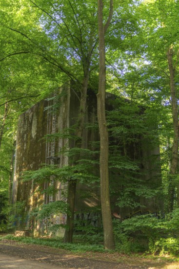 Mossy air-raid shelter on the eastern edge of the Bürgerpark on Parkallee, built during the Nazi era, landscape park, garden monument, ladder, groups of trees, nature, city state of Bremen, Germany