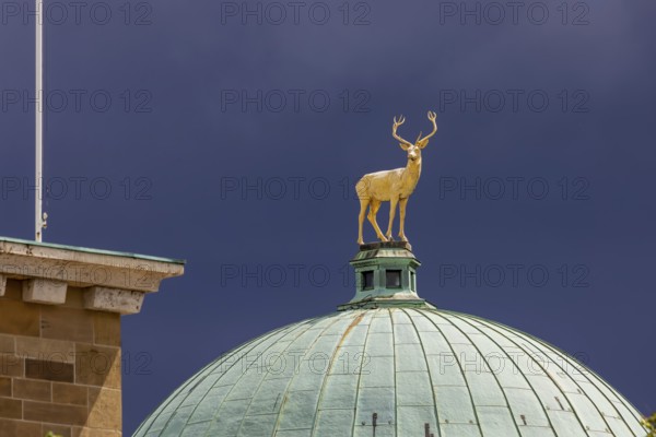 Art building on Schlossplatz designed by architect Theodor fisherman. A golden stag stands on the dome. The sculpture was designed by sculptor Ludwig Habich. Stuttgart, Baden-Württemberg, Germany