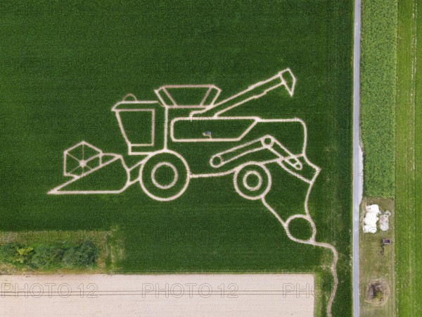 The maize maze of the Maize Spirits near Weißkirchen, near Frankfurt am Main, shows a combine harvester in summer 2025 under the motto Agriculture. The maze opens on 26 July 2025 (aerial photo with a drone), Oberursel Weißkirchen, Hesse, Germany