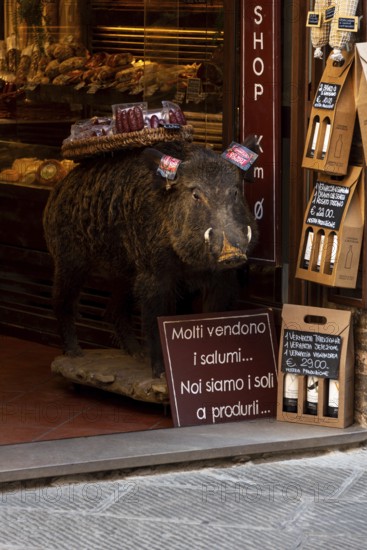 Stuffed wild boar with a basket of salami in front of a delicatessen, San Gimignano, Tuscany, Italy