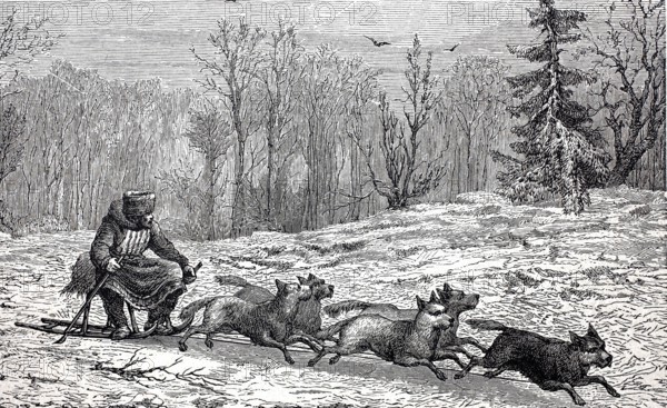 Dog team, dog sled in Northern Europe, digitally enhanced reproduction of a 19th century model, historical, exact date unknown