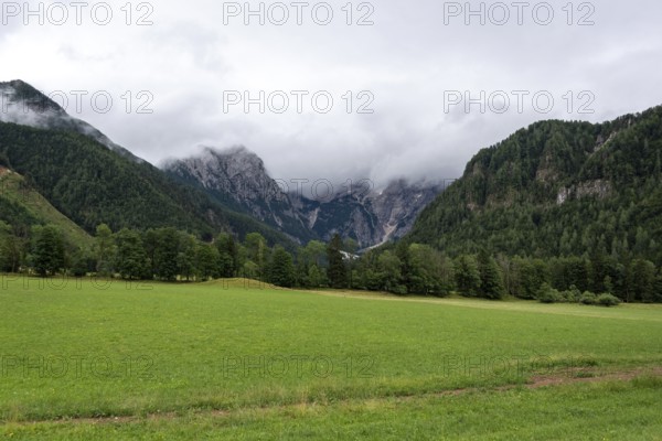 Green meadow against a mountain backdrop with clouds and wooded slopes, Zgornje Jezersko, Gorenjska, Slovenia
