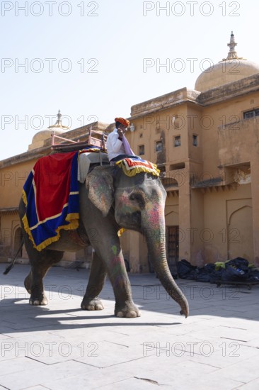 Indian mahout on colourfully painted elephant in the Amber Fort or fortress, Jaipur, Rajasthan, India