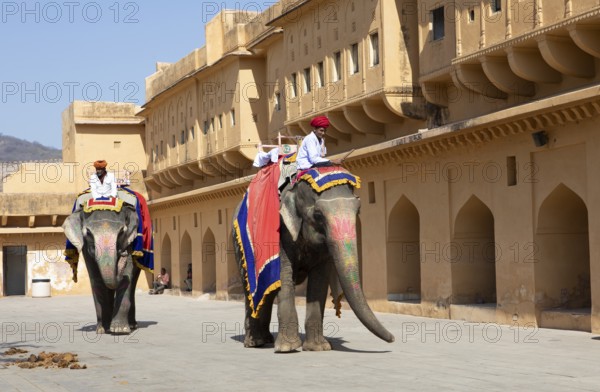 Indian mahouts on colourfully painted elephants in the Amber Fort or fortress, Jaipur, Rajasthan, India