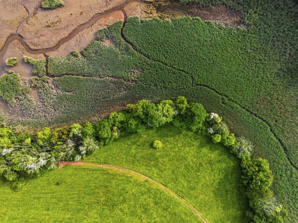 Top Down over Marshes over River Dart from a drone, Stoke Gabriel, Totnes, Devon, England, United Kingdom