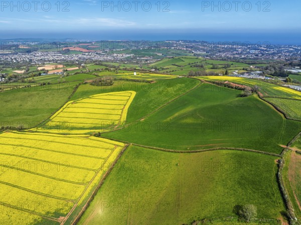 Rapeseed fields and Farms over Devon Windmill from a drone, Torquay, Devon, England, United Kingdom