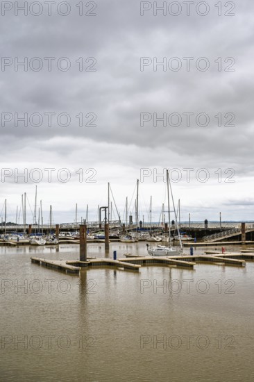 Pauillac, Gironde Estuary, Bordeaux, Gironde, Nouvelle-Aquitaine, France