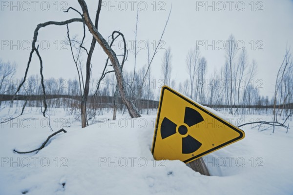 Radiation warning sign protrudes from snow in lifeless forest. Symbol of environmental fallout. Generative Ai, AI generated