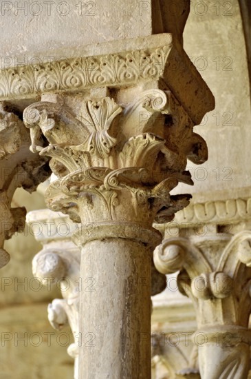 Slender Gothic columns with filigree capitals in the cloister, Gothic basilica of the Cistercian Abbey of Fossanova, Cistercian-Burgundian architectural style, Priverno, Province of Latina, Lazio, Italy