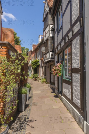 Schmaler Weg Hinter der Balge, half-timbered house with bay window, renovated Schnoor district with small shops, galleries, restaurants, cafés and residential buildings, Gängeviertel in the old town, former fishermen's and boatmen's settlement, narrow alleyways, pedestrian zone, numerous listed buildings, classicist, historic, baroque and renaissance architecture, flower pots, tourist attraction, destination, pleasure, Hanseatic city of Bremen, Germany