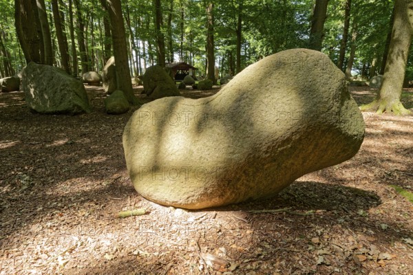 Erratic blocks in the Neuenknick erratic block forest in the Teutoburg Forest. Around 2000 of the ice-age relics have been brought together in a collection. The erratic boulder forest includes a nature discovery trail and is equipped as a leisure and recreation centre. Petershagen, North Rhine-Westphalia. Germany