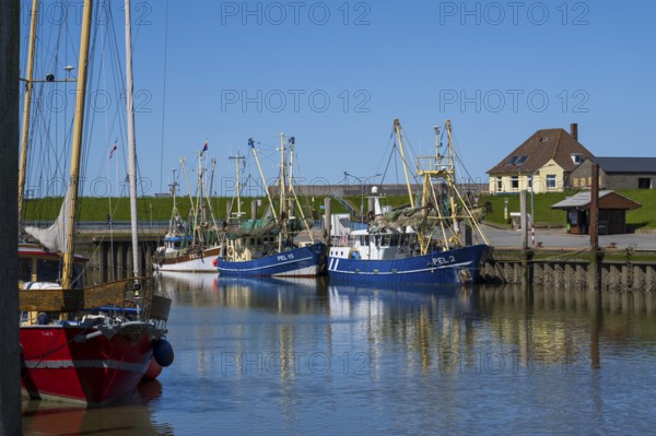 Fishing boats in the harbour of Tammensiel, Pellworm Island, North Frisia, North Sea, North Frisia, Schleswig-Holstein, Germany