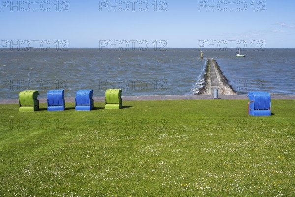 Beach chairs on a blooming meadow on the North Sea coast, Grünstrand, Pellworm Island, North Sea, North Frisia, Schleswig-Holstein, Germany